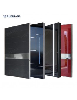 Luxury stainless steel door